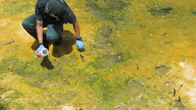 Un agente, en una investigación en Tenerife