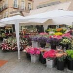 La Diputació destina 60.000€ a la compra de flores para decorar edificios en 20 municipios