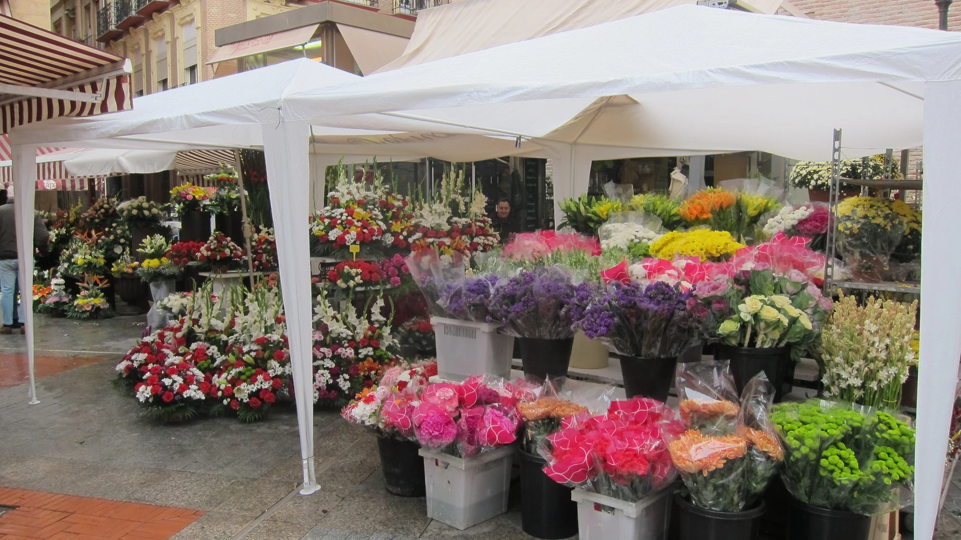 Valencia.- La Diputació destina 60.000€ a la compra de flores para decorar edificios en 20 municipios