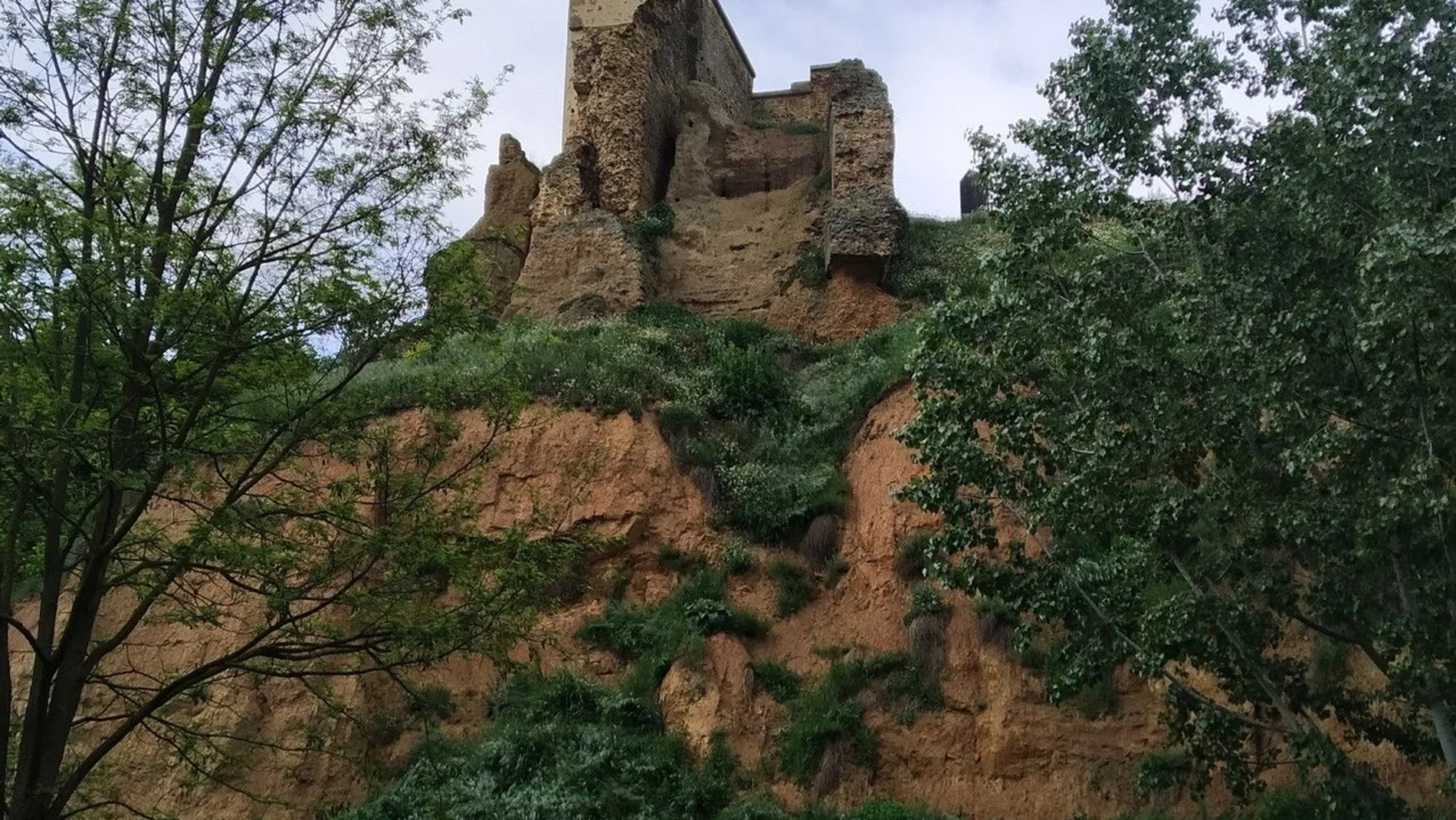 Castillo de Valencia de Don Juan (León)
