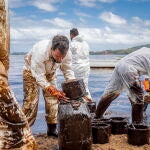 Voluntarios trabajan en las labores de limpieza en isla Mauricio