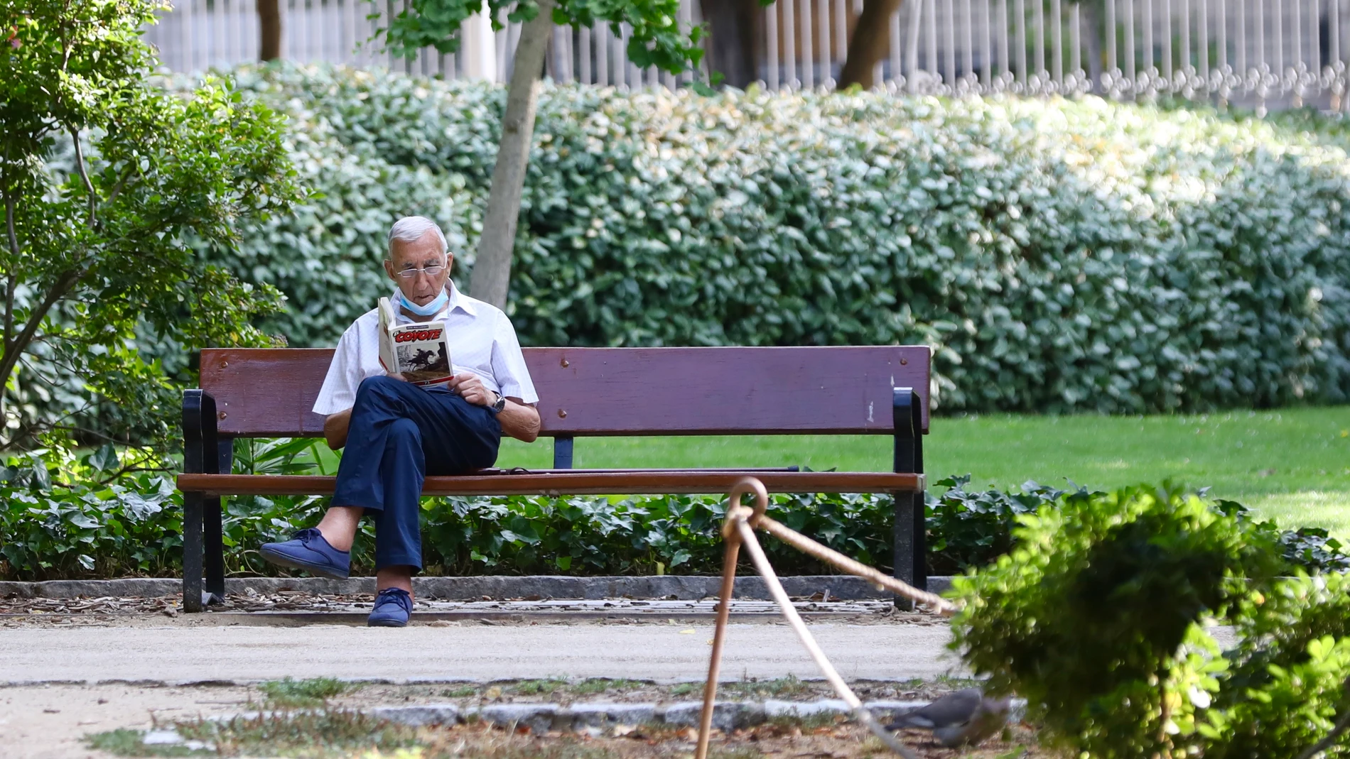 Imagen de un jubilado leyendo un libro en un parque