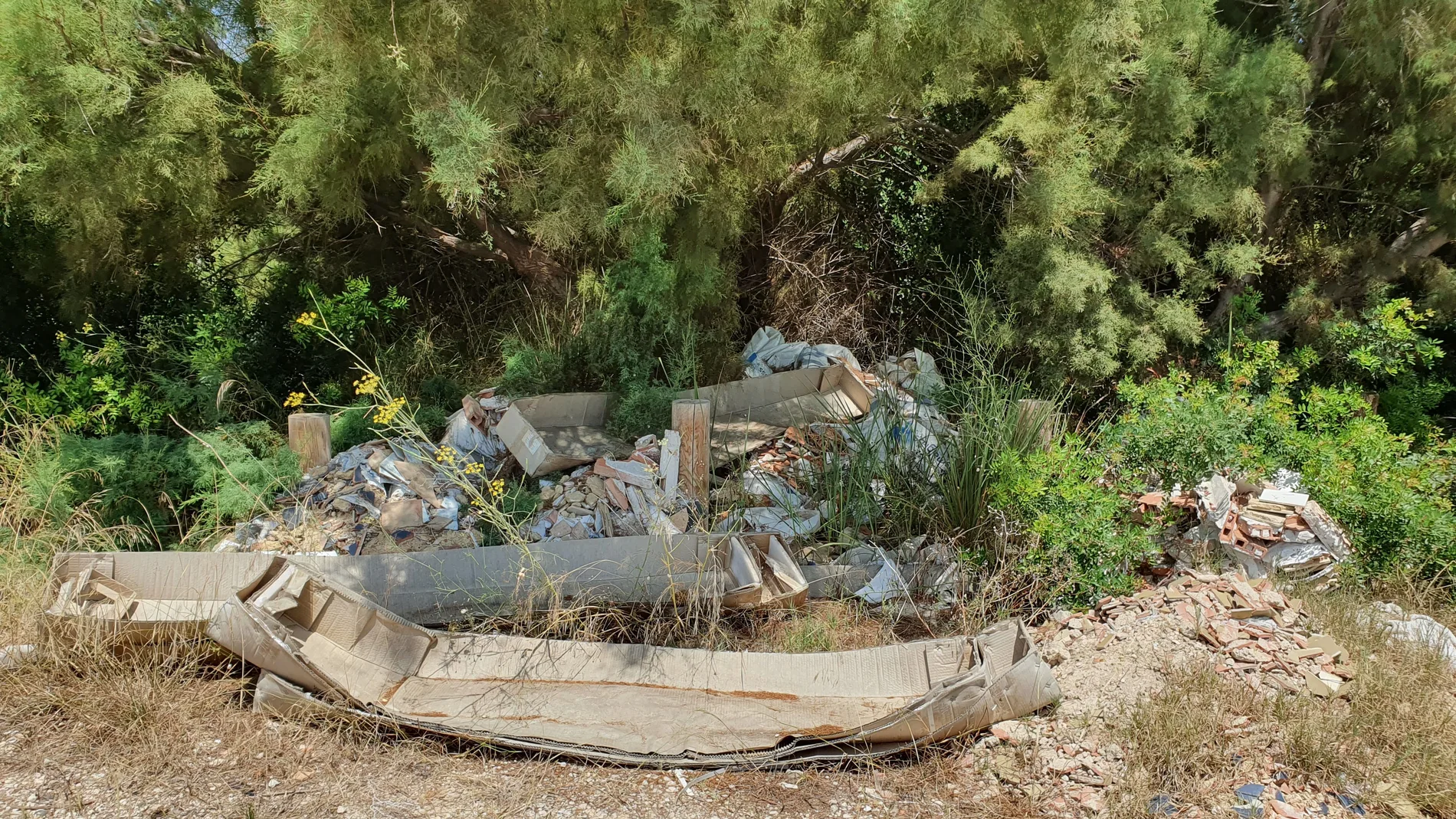 Imagen de las basuras que se encuentran a pocos metros de la playa Arbre del Gos desde hace un año, según el PP del Ayuntamiento de Valencia