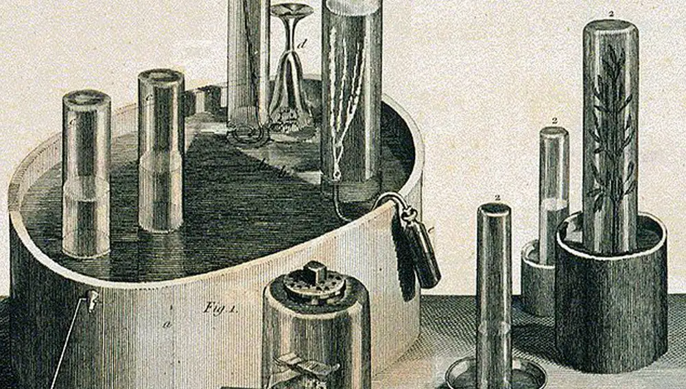 Ilustraciones de los sistemas de conducto de gases que usaba Priestley. Le permitían aislar diferentes gases (en el interior de algunos tubos pueden verse plantas).