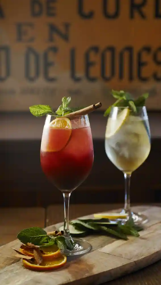 Cocktails de Patio de Leones