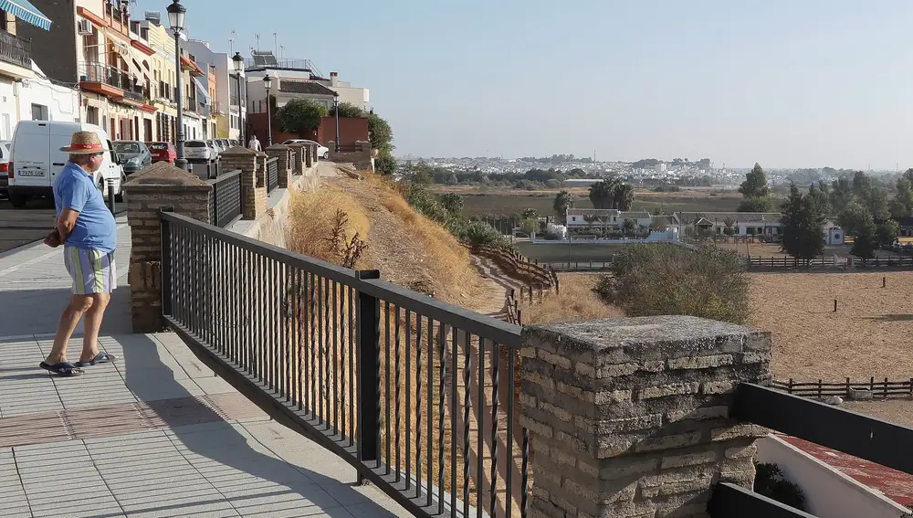 La Puebla del Río y al fondo Coria del Río