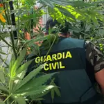 Operación antidroga de la Guardia Civil en Ávila14/08/2020