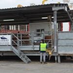 El puerto de Cartagena aumenta un 87 por ciento la exportación de ganado vivo en el primer semestreAPC14/08/2020