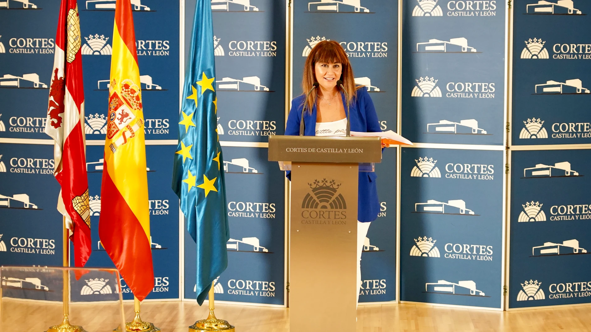 La procuradora de Ciudadano en Castilla y Leóns, Marta Sanz, presenta una Proposición No de Ley sobre la ocupación ilegal de viviendas