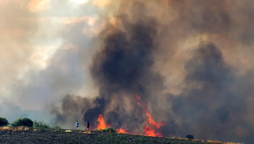 GRAF2282. LOBER DE ALISTE (ZAMORA), 15/08/2020.- Llamas del incendio forestal declarado hoy en la localidad zamorana de Lober de Aliste (Zamora). EFE/Mariam A. Montesinos