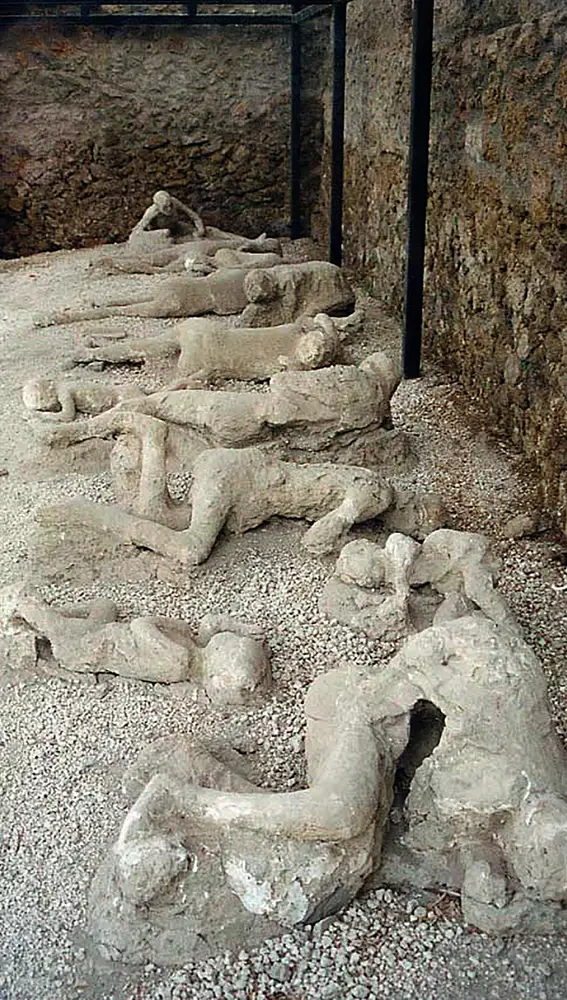 Momias de Pompeya. Los moldes dramáticosEs difícil calcular cuántos pompeyanos murieron a causa de la erupción del Vesubio.