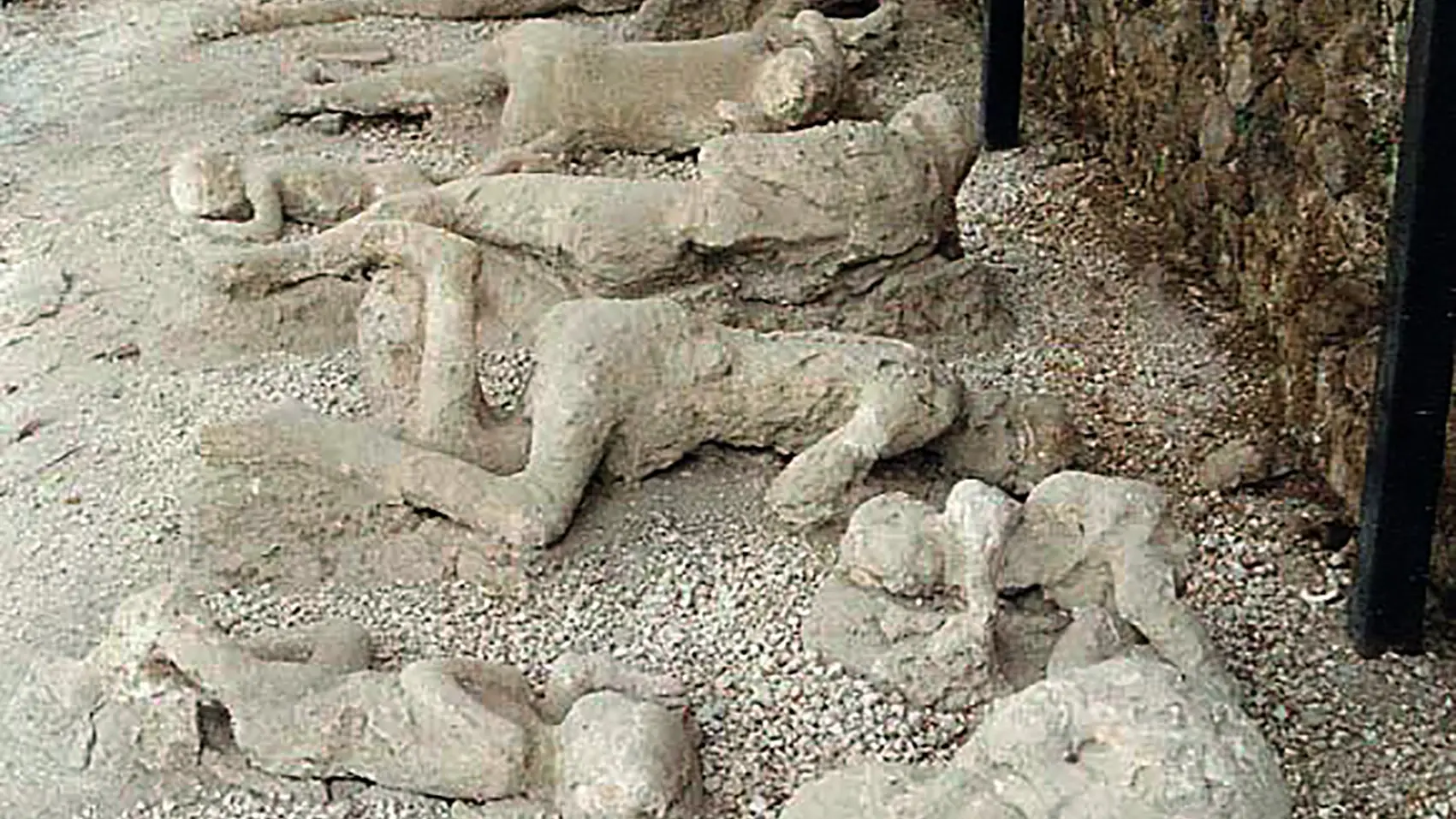 Momias de Pompeya. Los moldes dramáticosEs difícil calcular cuántos pompeyanos murieron a causa de la erupción del Vesubio.