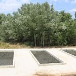 Proyecto piloto de la Comunidad de Madrid para depurar las aguas con plantas vegetales con capacidad para eliminar la contaminación de las aguas