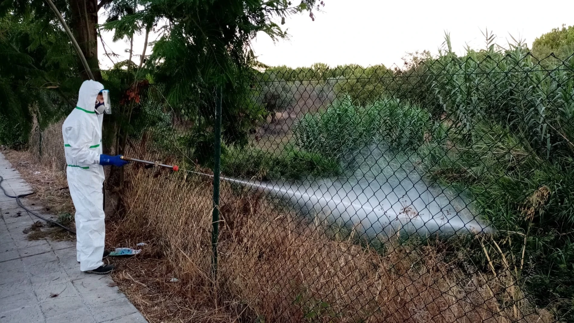 Municipios cercanos al brote aumentan la fumigación por el virus del Nilo