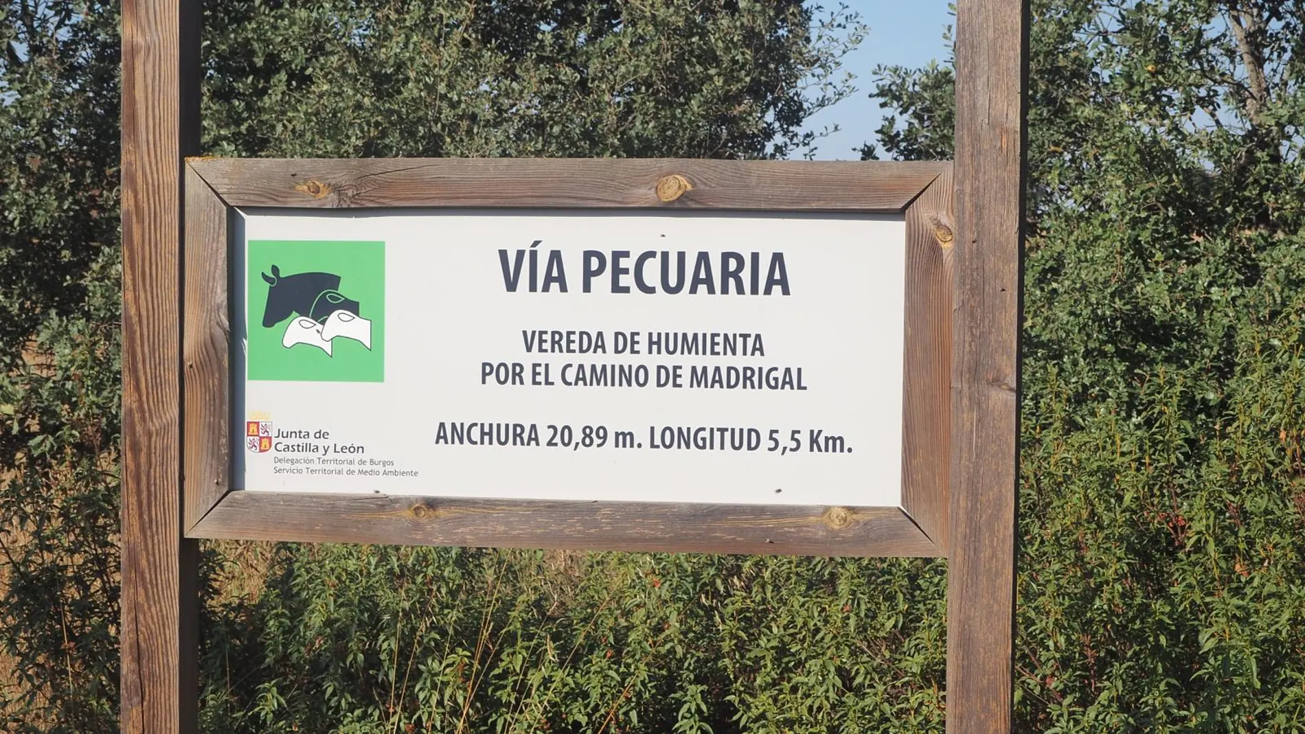 Vía pecuaria de Castilla y León