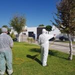 Labores de fumigación contra mosquitos en Los Palacios el pasado año
