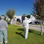 Labores de fumigación contra mosquitos en Los Palacios el pasado año