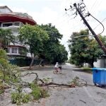Una mujer en bicicleta pasa junto a ramas de un árbol caído y un poste eléctrico torcido tras la tormenta tropical "Laura" en La Habana (Cuba)