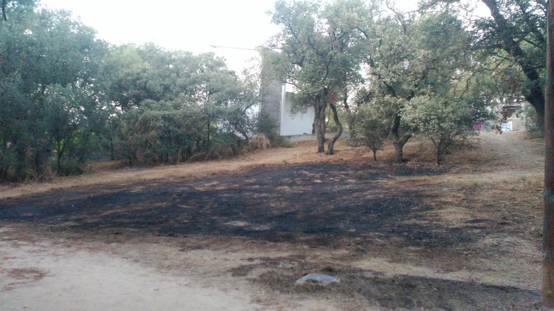 Lugar del incendio junto a la valla posterior del centro de menas de la Casa de Campo