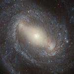 Todas las galaxias están inmersas en una nube de materia oscura, que es más densa en la zona central y se va volviendo más tenue a medida que nos alejamos de él. En esta imagen de la galaxia NGC 4394 vemos también una diferencia en el tipo de estrellas que encontramos en cada región: en el núcleo tenemos estrellas maduras, que en este caso forman una hermosa barra, y en la periferia encontramos estrellas jóvenes y muchas más nubes de polvo. Si la materia oscura terminase siendo de tipo “borroso” sus partículas serían tan grandes como todo el núcleo de esta galaxia.