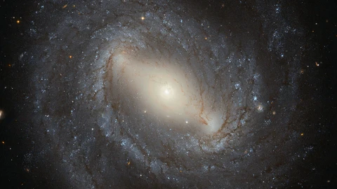 Todas las galaxias están inmersas en una nube de materia oscura, que es más densa en la zona central y se va volviendo más tenue a medida que nos alejamos de él. En esta imagen de la galaxia NGC 4394 vemos también una diferencia en el tipo de estrellas que encontramos en cada región: en el núcleo tenemos estrellas maduras, que en este caso forman una hermosa barra, y en la periferia encontramos estrellas jóvenes y muchas más nubes de polvo. Si la materia oscura terminase siendo de tipo “borroso” sus partículas serían tan grandes como todo el núcleo de esta galaxia.