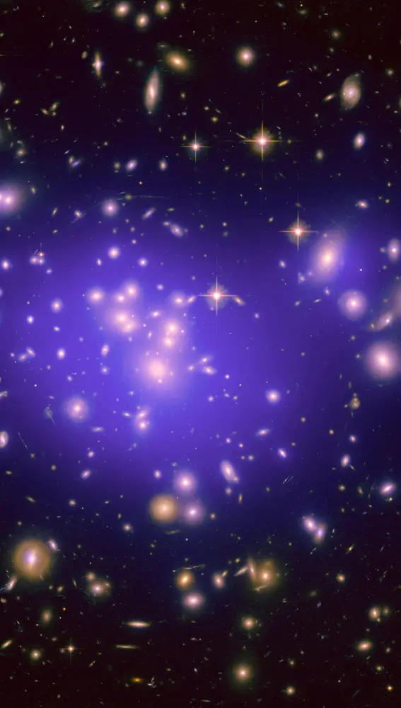 Aquí podemos ver el cúmulo de galaxias Abell 1689, con la nube de materia oscura en la que está bañado marcada en violeta. Observamos que la materia oscura se concentra en el centro del cúmulo, y también en las galaxias más masivas, como las que hay arriba a la izquierda y arriba a la derecha. La materia oscura no emite luz, así que esta nube la hemos reconstruido a partir de su gravedad, que produce un efecto llamado lente gravitatoria, que deforma las imágenes de galaxias que están detrás del cúmulo. Podemos ver muchas de estas imágenes deformadas formando arcos alrededor del cúmulo, como haría una lente circular muy potente.