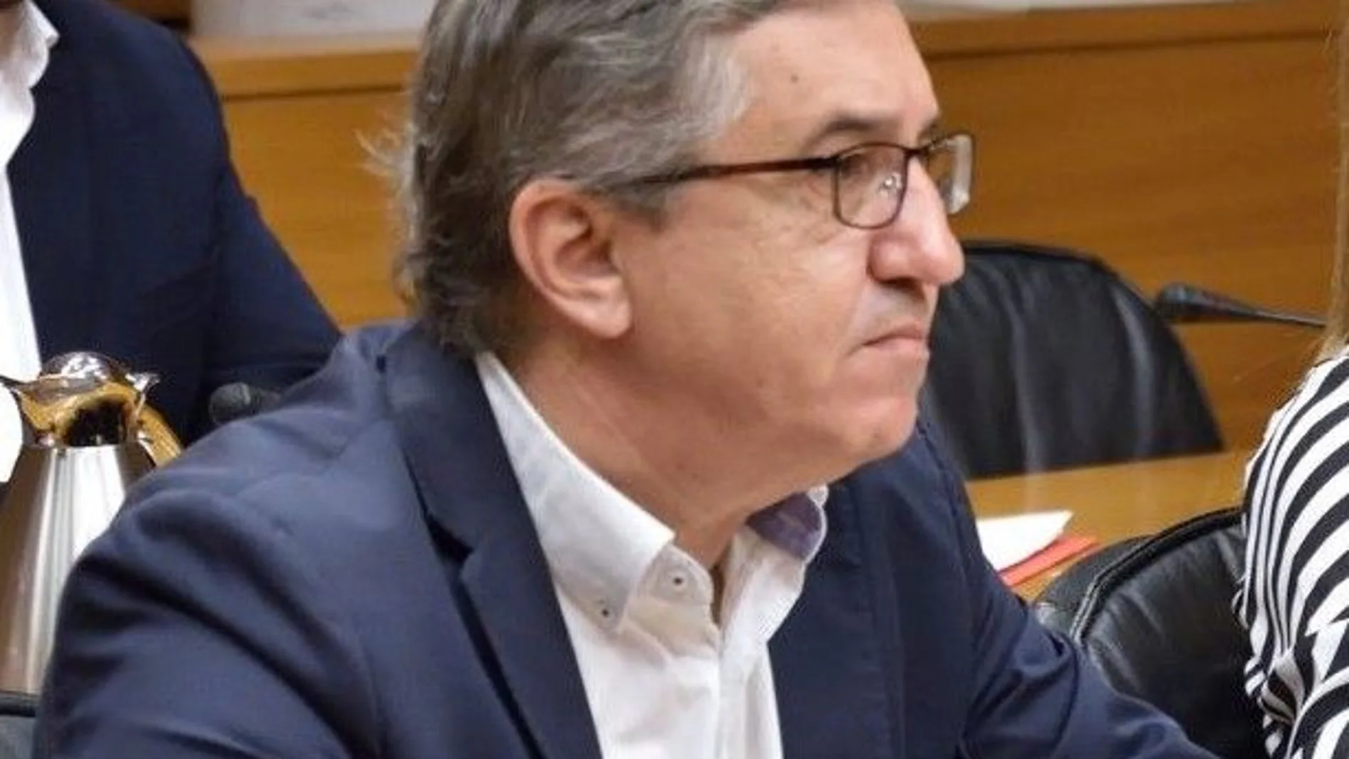 El vicesecretario de organización del PP de la Provincia de Alicante y diputado autonómico por Alicante, José Antonio Rovira
