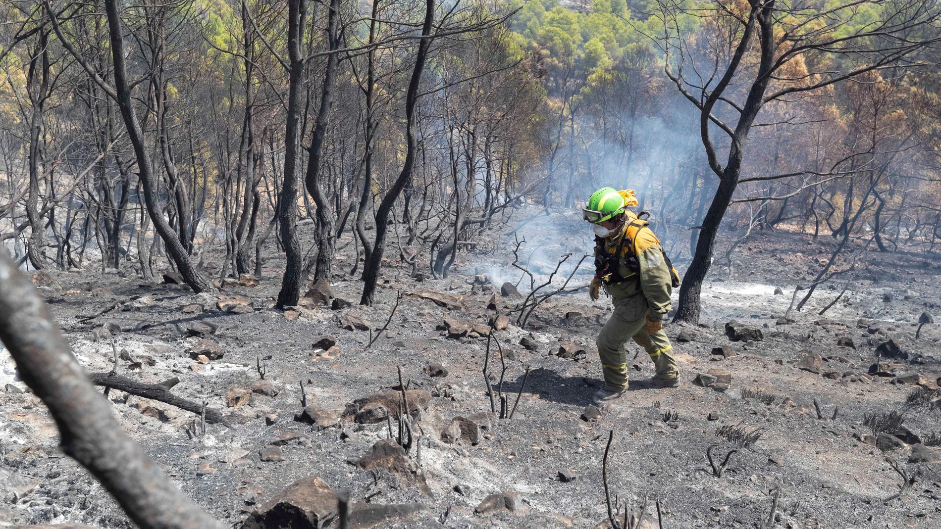 Incendio de Mula ha arrasado 300 hectáreas con frente activo de 6 kilómetros