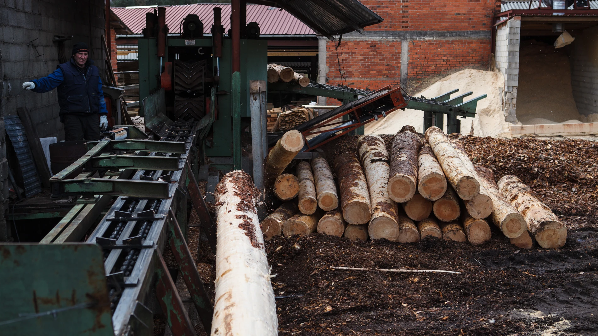 Aserradero de la empresa madera Pinosoria en Casarejos (Soria)