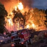 El fuego todavía debe ser controlado, para lo que se han perimetrado 28.000 hectáreas