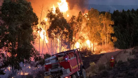 Miembros de la UME trabajando en el incendio de la localidad de Almonaster la Real