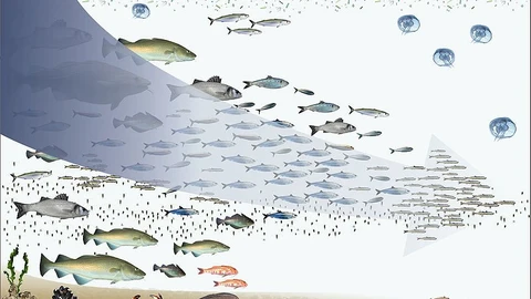 Imagen representando la biomagnificación donde los peces más grandes se comen a los pequeños