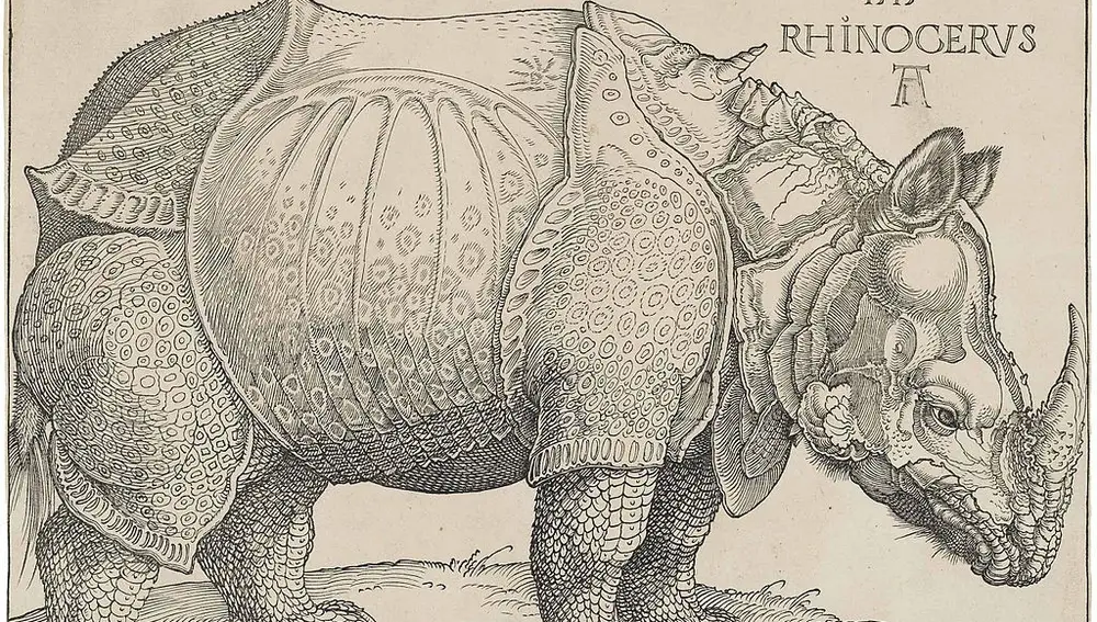 Dibujo de un rinoceronte hecho por Alberto Durero
