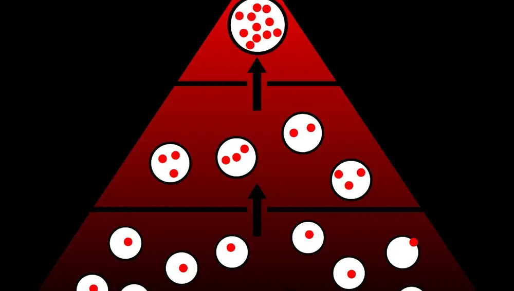 Biomagnificación representada conceptualmente con una pirámide.