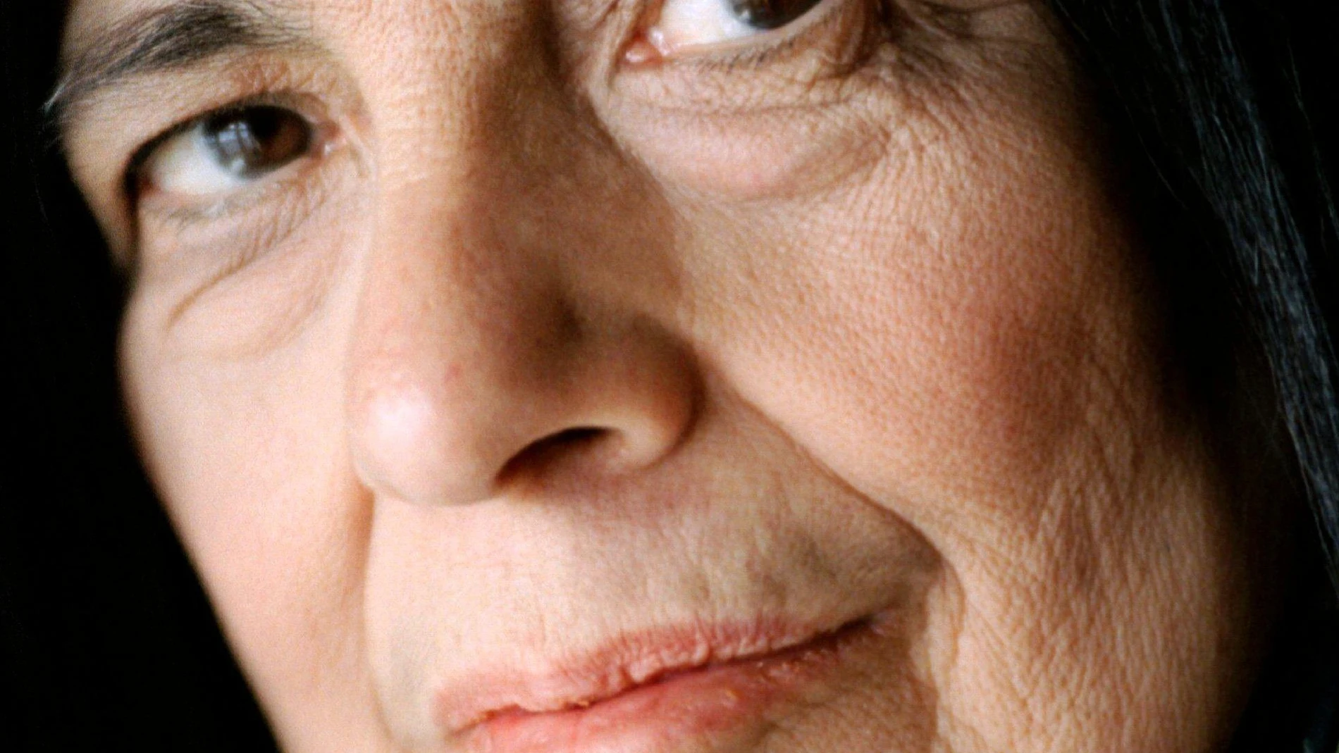 La vida de Susan Sontag estuvo marcada por la intensidad y la alternancia política y sexual