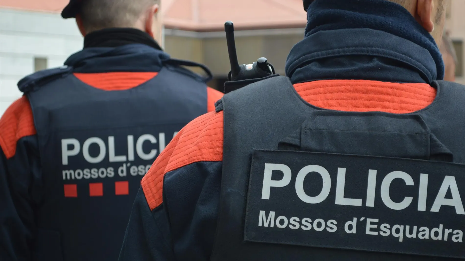La división interna de los Mossos se hizo cargo de la investigación