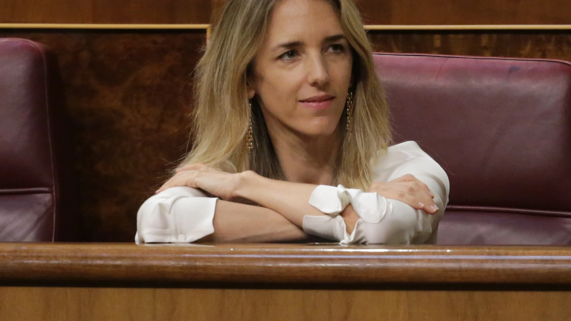 Sesión plenaria, Congreso de los Diputados. Cayetana Álvarez de Toledo.