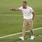 Luis Enrique, en el último partido de la selección española contra Ucrania