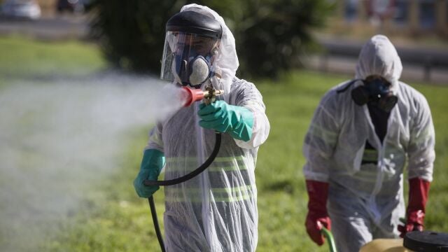 La Junta fumigará con drones las zonas de la ribera y los municipios de la zona llevan semanas fumigando