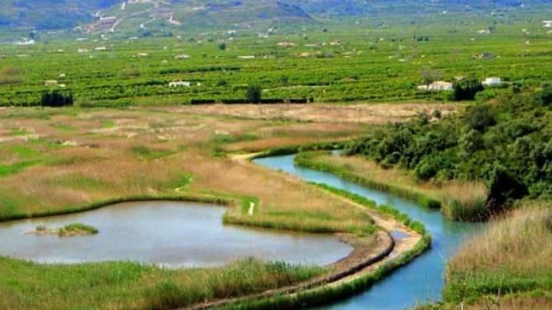 La fiesta se celebraba en el paraje natural de la marjal Pego-Oliva