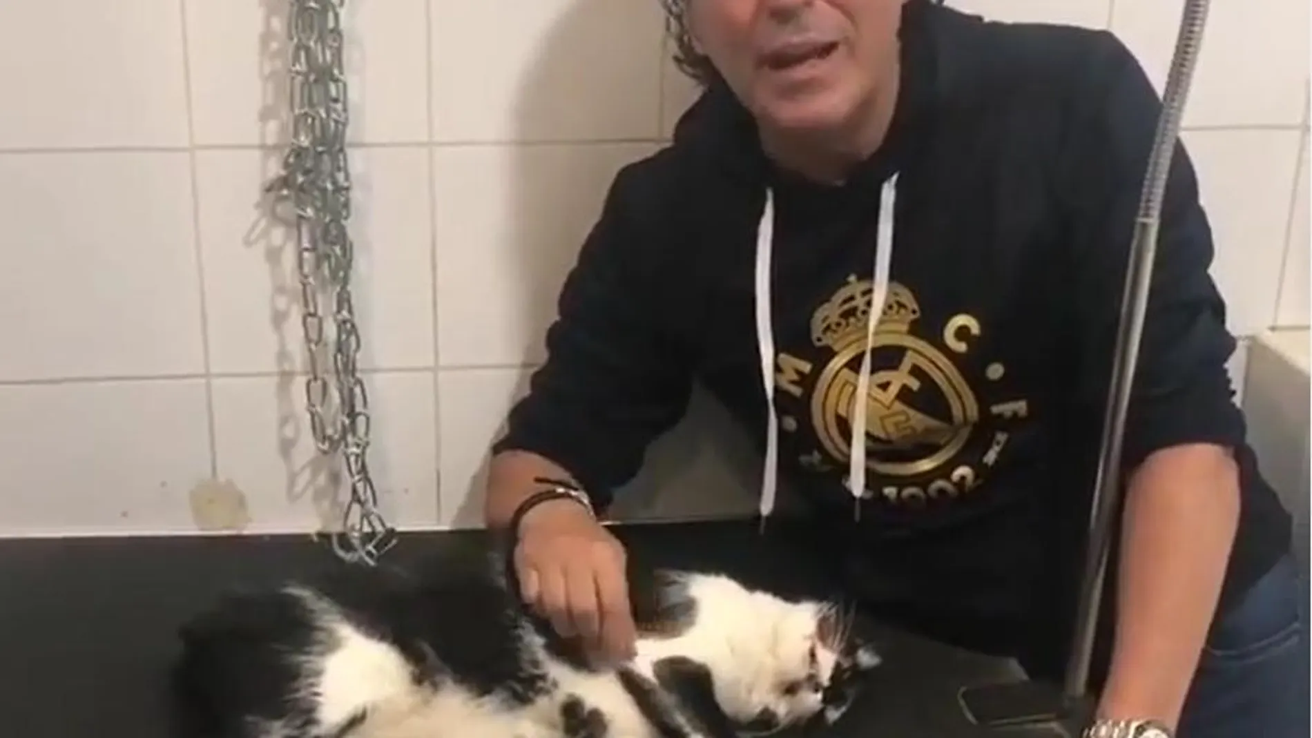 Pipi Estrada se despide de su gato Trapito
