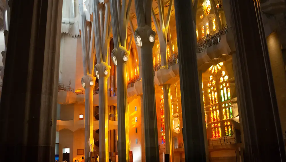 Las columnas arbóreas o de doble giro del interior de la Sagrada Familia.