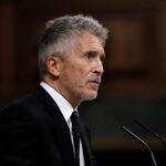 - El ministro del Interior, Fernando Grande Marlaska EFE/ J.J. Guillén