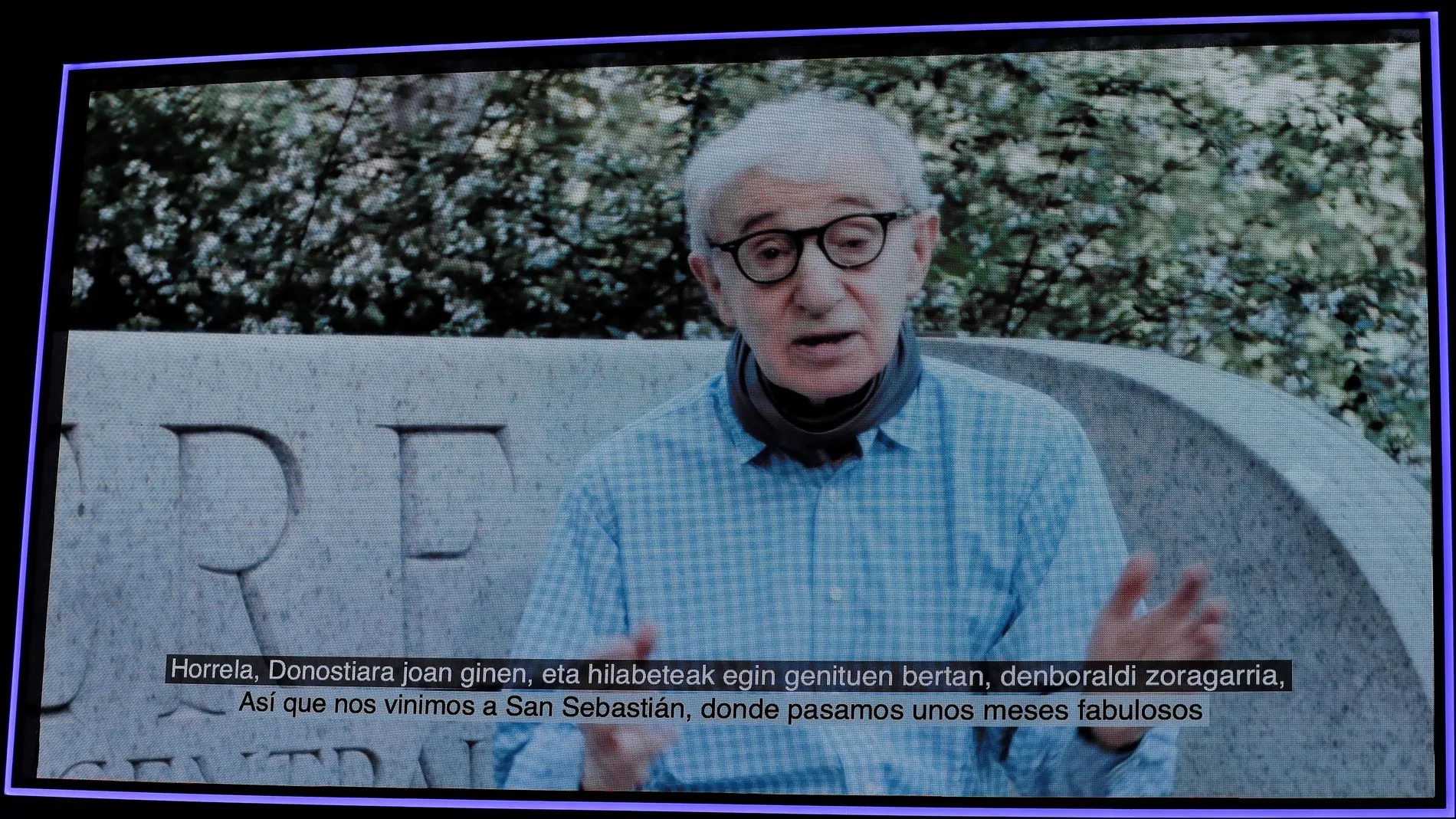 Woody Allen es un fanático de los deportes y los ve todos por televisión