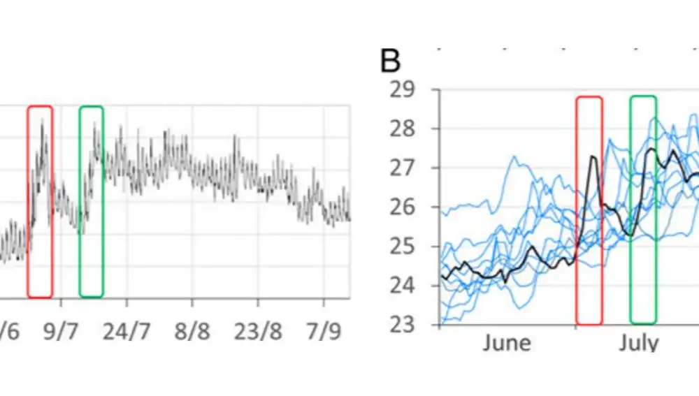 A: Series de temperatura medidas durante diez minutos a dos metros de profundidad entre el 1 de mayo y el 13 de septiembre de 2017 e indicando los dos eventos de calentamiento repentino con los rectángulos.B: Serie de las medias de temperatura diarias entre junio y septiembre de 2007 a 2016 y 2018 (en azul) y 2017 (en negro)
