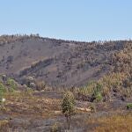 El incendio en Almonaster ha sido el más grave en todo el año