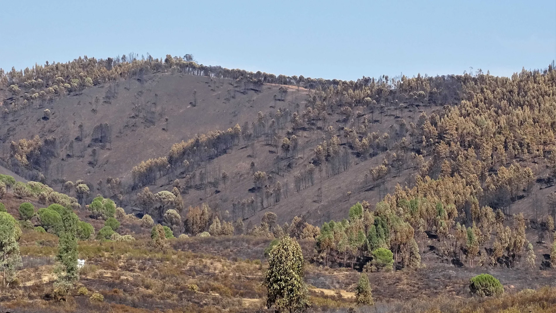 El incendio en Almonaster ha sido el más grave en todo el año