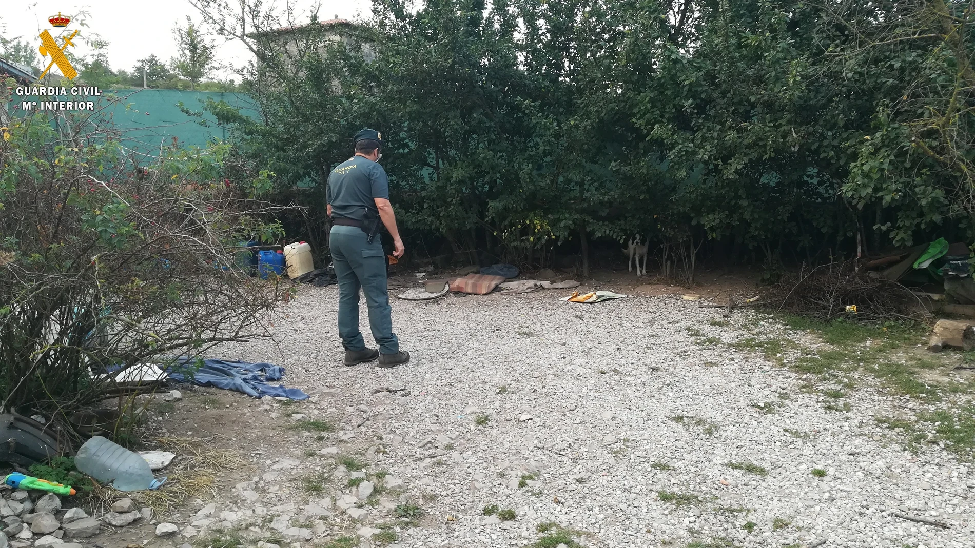 Detienen a un hombre por matar a golpes a un perro en Aguilar de Campoó
