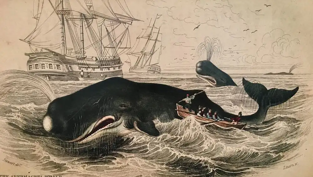 Grabado de una caza de ballenas por marineros gallegos.