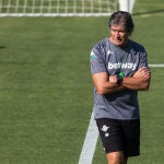 Manuel Pellegrini, entrenador del Betis.